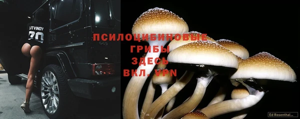 jwh Арсеньев