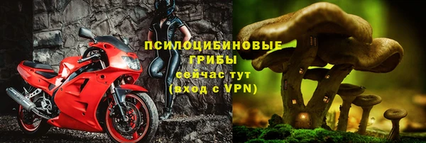 первитин Армянск